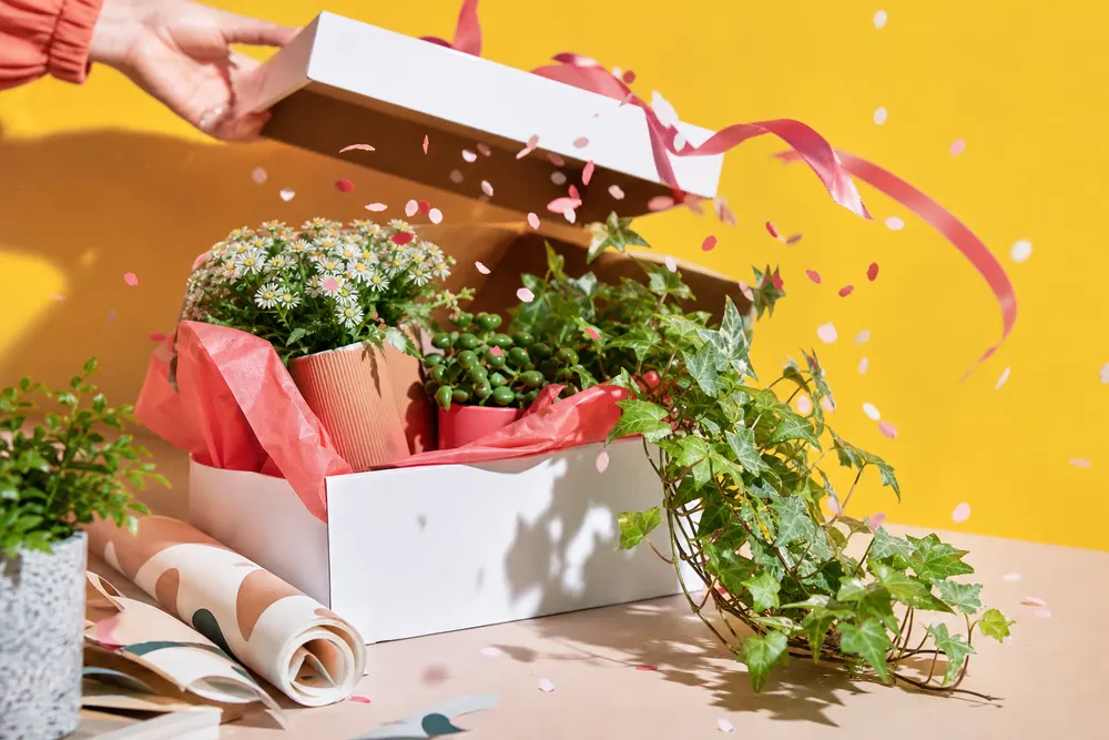 Regalo casa nuova per lei: 8 idee per balcone e terrazzo