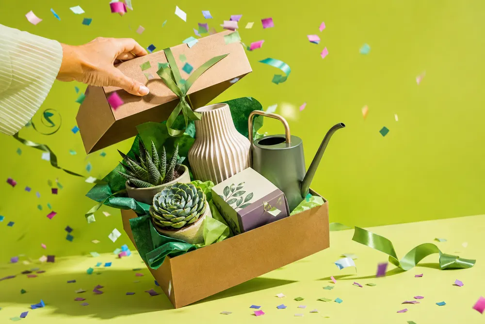 Regali green per la festa della donna: 6 idee con le piante