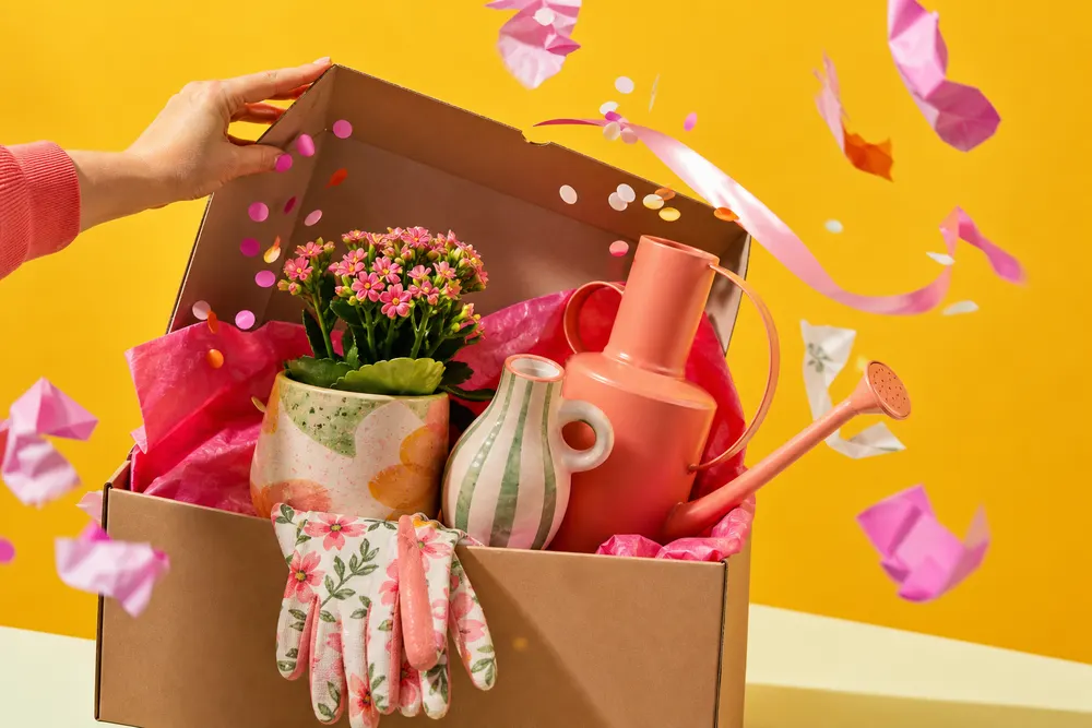 Regali green per la festa della mamma: 6 idee con le piante