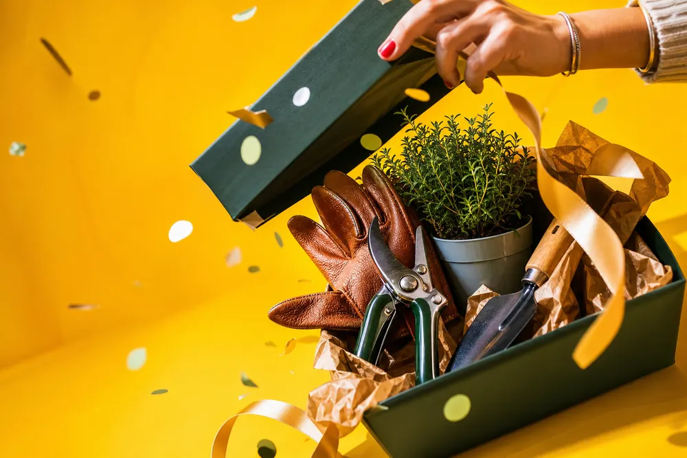 Regalo di pensionamento per chi ama il giardino: 7 idee